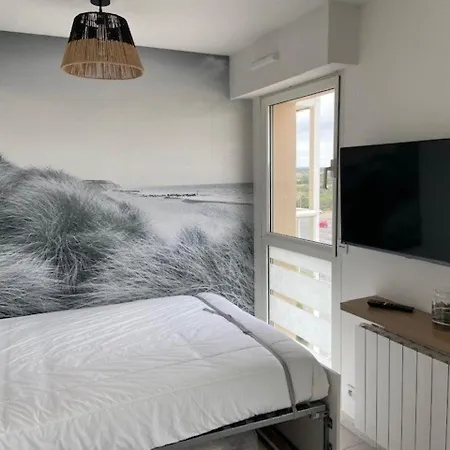 Studio Cucq-stella Plage, 1 Piece, 4 Personnes - Fr-1-236-143 Apartment